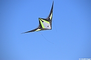 EUROCUP STACK 2011 CERVIA00104